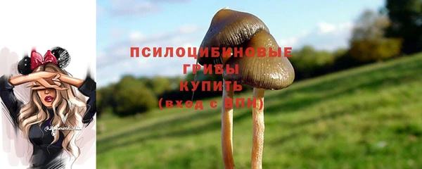 spice Алексин