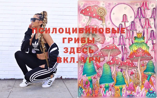 spice Алексин