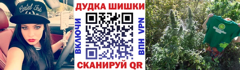 Канабис планчик  MEGA сайт  Малаховка 
